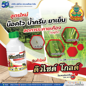 ดิวไซด์